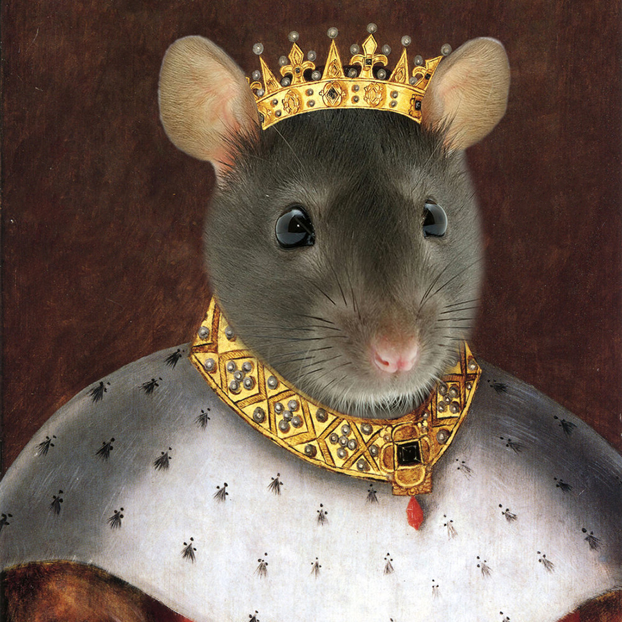 Царь крыс